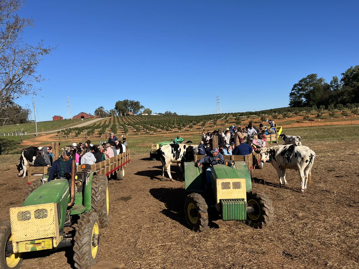 FALL FUN on the farm! Hayrides today till 4:00 and Sunday hayrides 12-4 ...