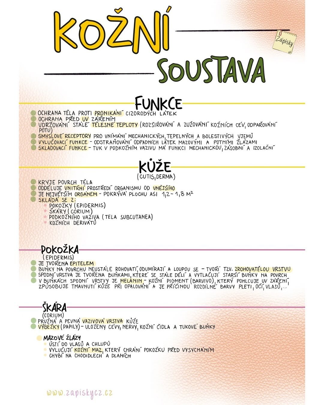 Nejv t Org n Lidsk ho T la Toho Zvl d Mnohem V c Ne Jen Dr et N s 