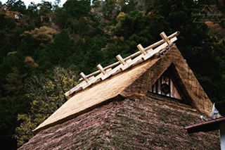 Miyama Thatched Village 美山町かやぶきの里.#stealingdaylight  #kyoto#miyama #kayabukinosato #kouyou #redleaves #autumn #japan #japantravel #vscocam #t...