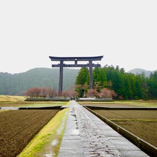 日本有很多鳥居!! 也有很多什麼木造第一，海上第一的鳥居，但位於和歌山的熊野本宮大社的鳥居是日本最大的鳥居，有34公尺高，大約十層樓高了!! 走近一看還滿壯觀...