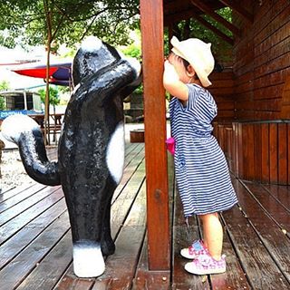 #屋頂上的貓 是個非常可愛的景點，小小的街道，小小的社區，卻因可愛的貓彩繪而顯得生氣勃勃!! 重點是來過一次，還是會懷念這裏充滿歡笑聲的一景一物呢#yolo #in...