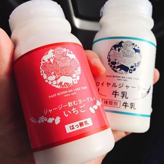 栃木に行った時に買ったお土産。美味しそうじゃない？（笑）#jersey #instafood #instagood #foodstagram #foodphotography #instagramjapan #strawberry #milk...