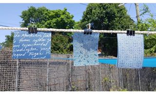 Gorgeous stencils by @emilywhitworthceramics hang drying in the sun ???? ...#silkscreen #silkscreened #silkscreenart #silkscreening #silkscreenprint #...