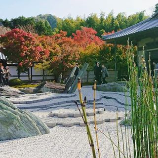 Kouyou at Enkou Ji 圓光寺紅葉.#stealingdaylight  #kyoto#enkouji #enkoji #kouyou #momiji #redleaves #autumn #japan #japantravel #japanesegarden #vscoca...