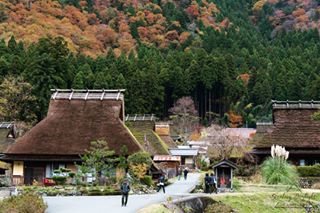 Miyama Thatched Village 美山町かやぶきの里.#stealingdaylight  #kyoto#miyama #kayabukinosato #kouyou #redleaves #autumn #japan #japantravel #vscocam #t...
