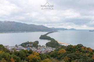 Amanohashidate 天橋立.#stealingdaylight #kyoto #miyazu #amanohashidate #scenery #pine #shore #coastline #japan #japantravel #japanscenery #vscocam #tr...
