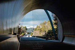 MIHO MUSUEM 美秀美術館Blog: stealingdaylight.com/miho-museum .#stealingdaylight #mihomusuem #shiga #art #musuem #gallery #impei #architecture #japan #...