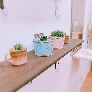 店内小物 多肉ちゃん????..#ハオルチア #多肉植物 #雑貨 #店内 #美容室 #美容師 #棚 #ハンドメイド #植え替え #コーヒーカップ #寄せ植え #多肉女子 #フォルム #...