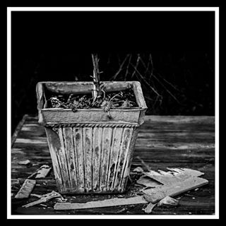 ORAKURUSㅤㅤㅤㅤㅤㅤ#portrait #blackandwhite #blackandwhiteonly #blackandwhitephotography #love #instagood #photooftheday #bestoftheday #beautiful #po...