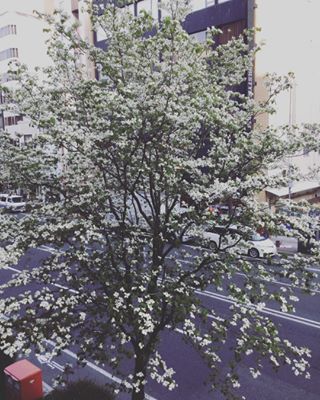 このお花見の季節、たくさんのお客様がご宿泊してくれています????????みなさんの笑顔で我々スタッフはとても幸せを感じます！今後もよろしくお願い致します????...